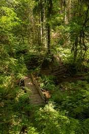 Peabody Creek Loop