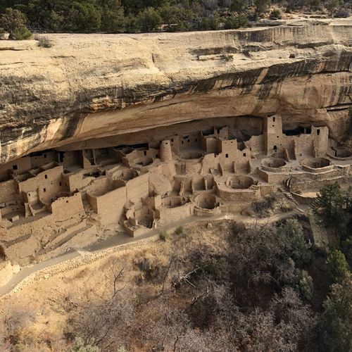 Cliff Palace Trail