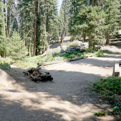 Muir Grove Trail