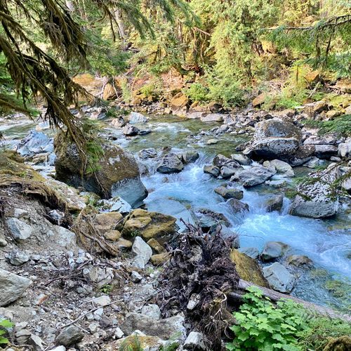 Gray Wolf Pass Trail