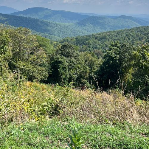 Jeremys Run Overlook