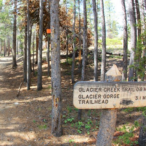 Boulder Brook Trail