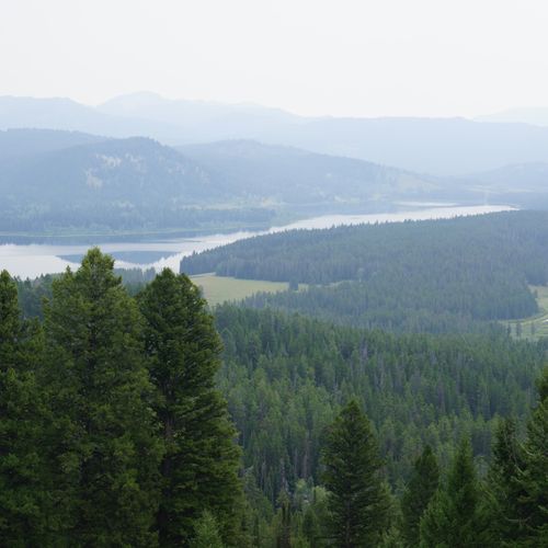 Viewpoint