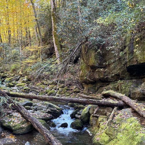 Gatlinburg Trail