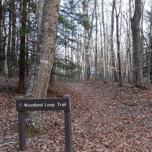 Woodland Loop Trail