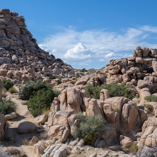 Maze Loop Trail