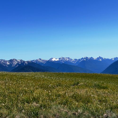 Viewpoint