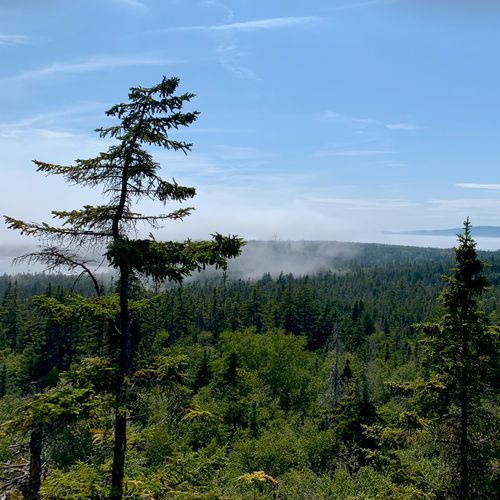 Viewpoint
