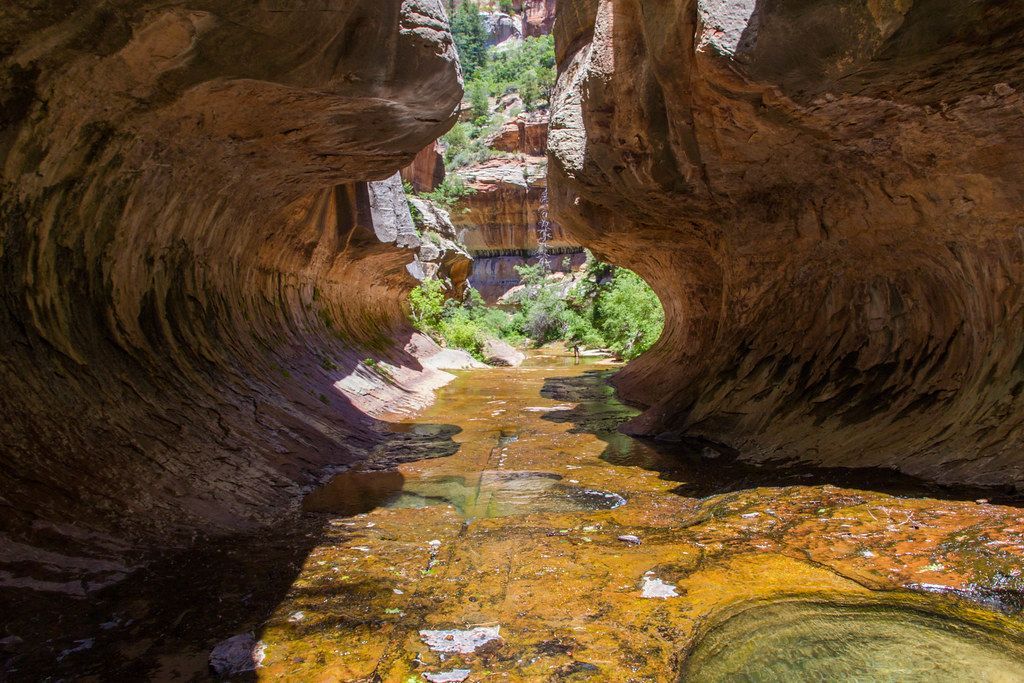 The Subway Bottom-Up Approach, Zion National Park
