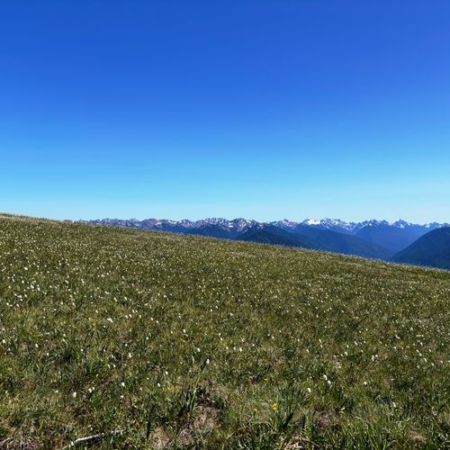 Viewpoint