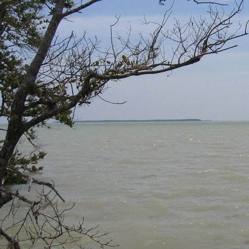Bayshore Loop Trail