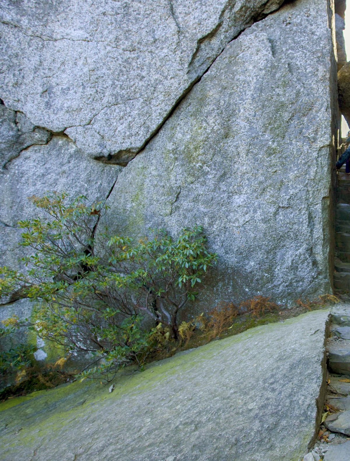 Old Rag: Shenandoah's Signature Boundary Climb, Shenandoah National Park