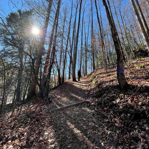 Elkmont Nature Trail