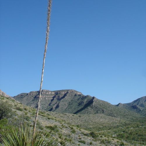 Slaughter Canyon Trail