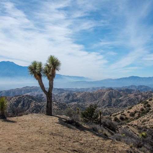 Eureka Peak Trail