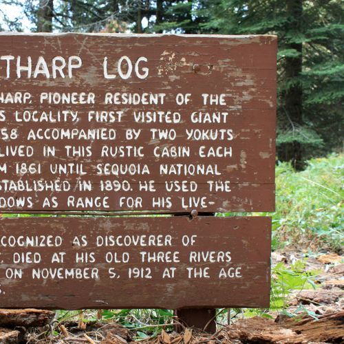 Tharp's Log