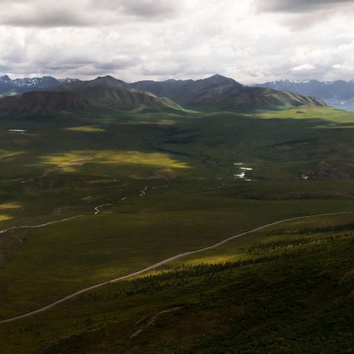 Savage River Loop Trail