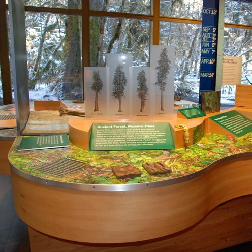 Hoh Rain Forest Visitor Center