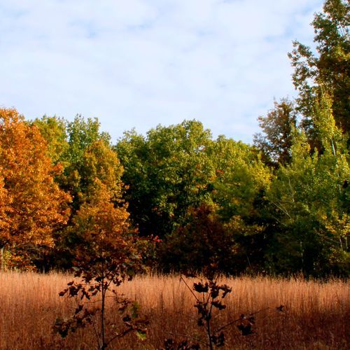Glenwood Dunes Extension