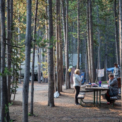 Canyon Campground