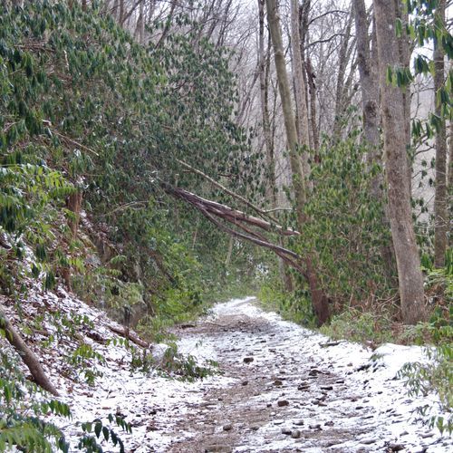 Mountains-to-Sea Trail: Segment 1