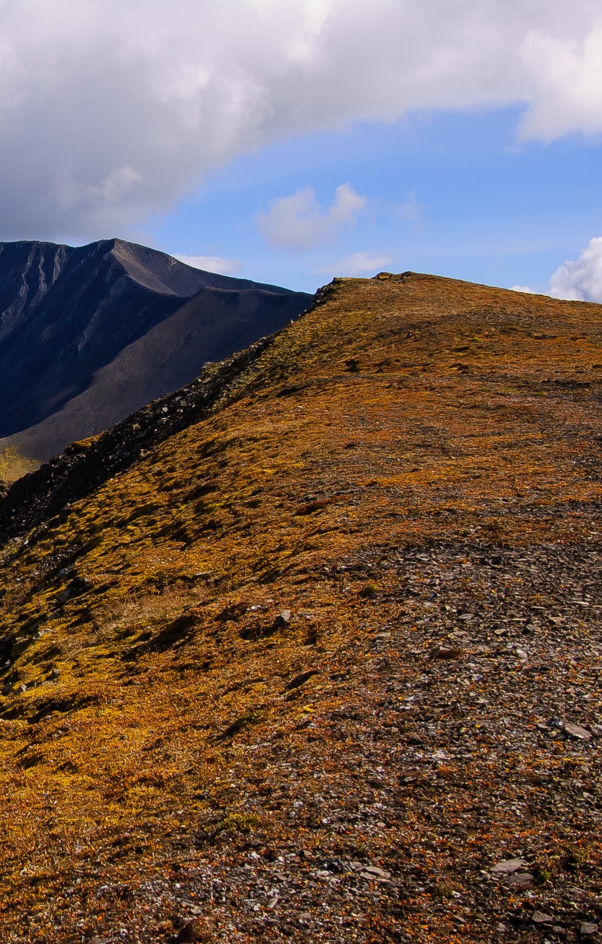 Mount Wrangell and the Park's Active Volcanoes, Wrangell - St Elias National Park & Preserve