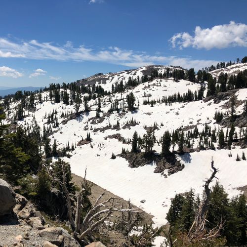 Viewpoint