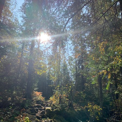 Rainy Lake Recreation Trail