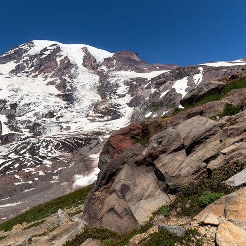 Paradise Glacier Trail