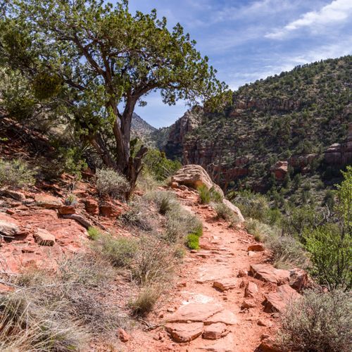 Beaver Falls Trail