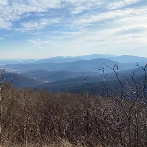 Viewpoint