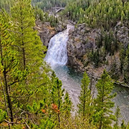Upper Yellowstone Falls