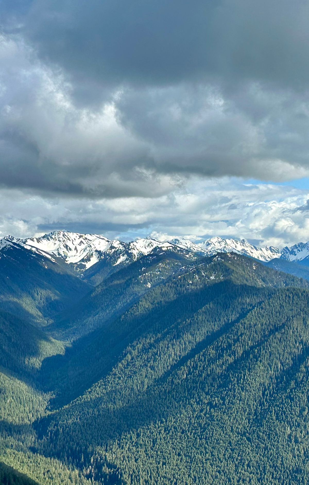 How Colliding Plates Shaped Olympic's Landscape, Olympic National Park
