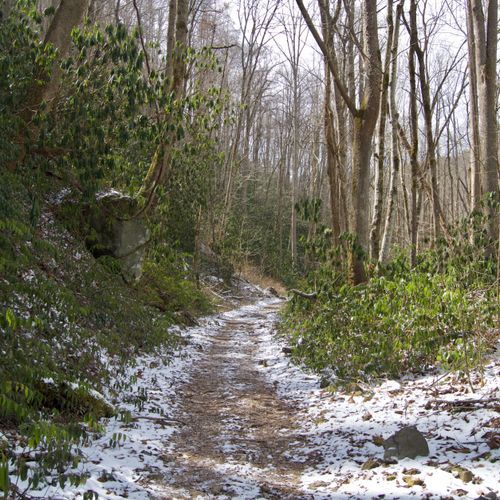 Big Creek Trail