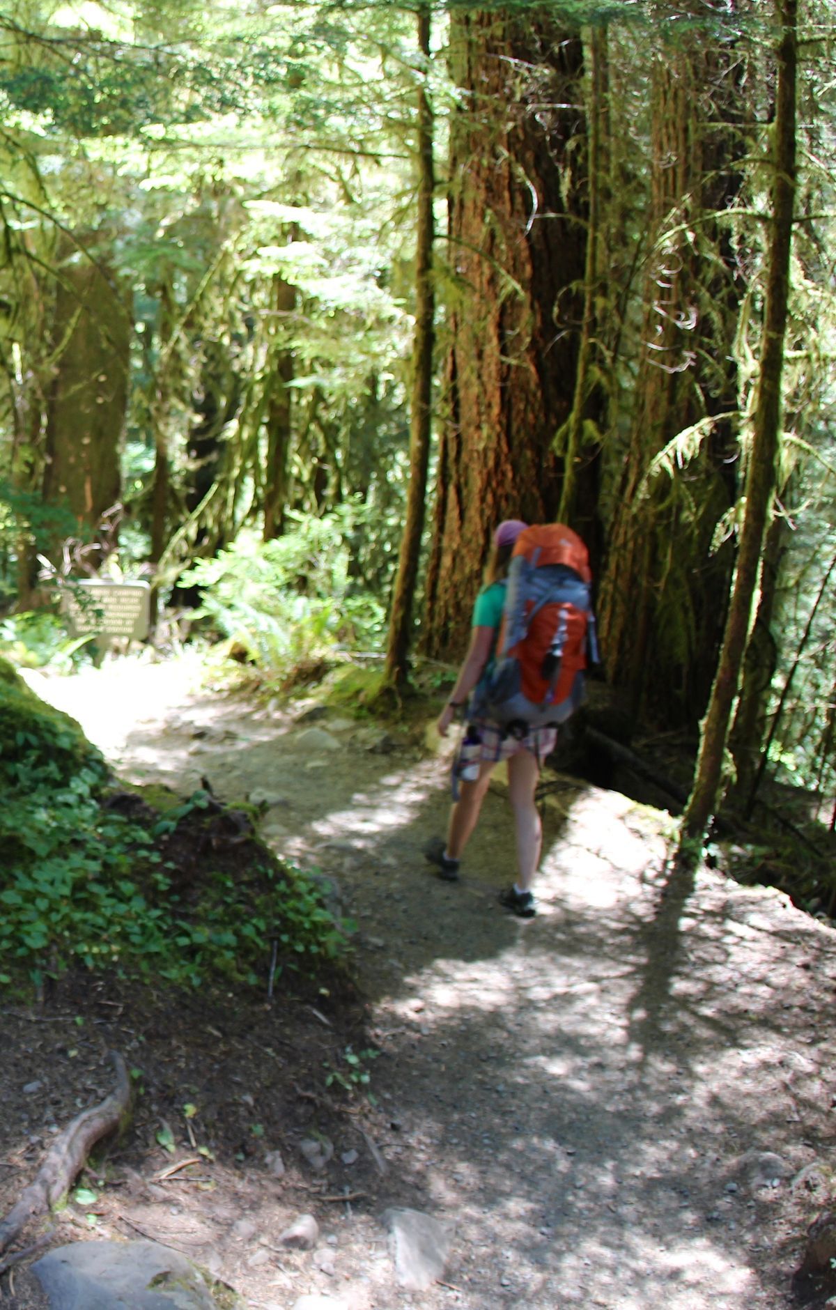Deer Lake Trail, Olympic National Park