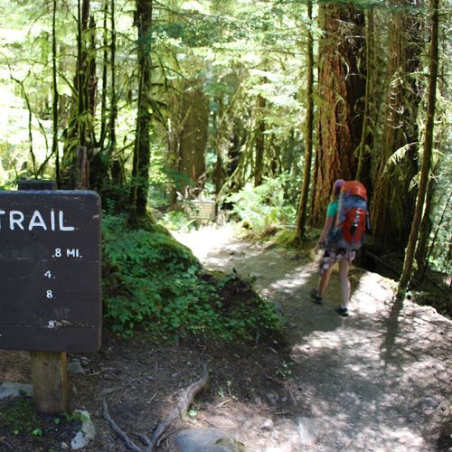 Deer Lake Trail