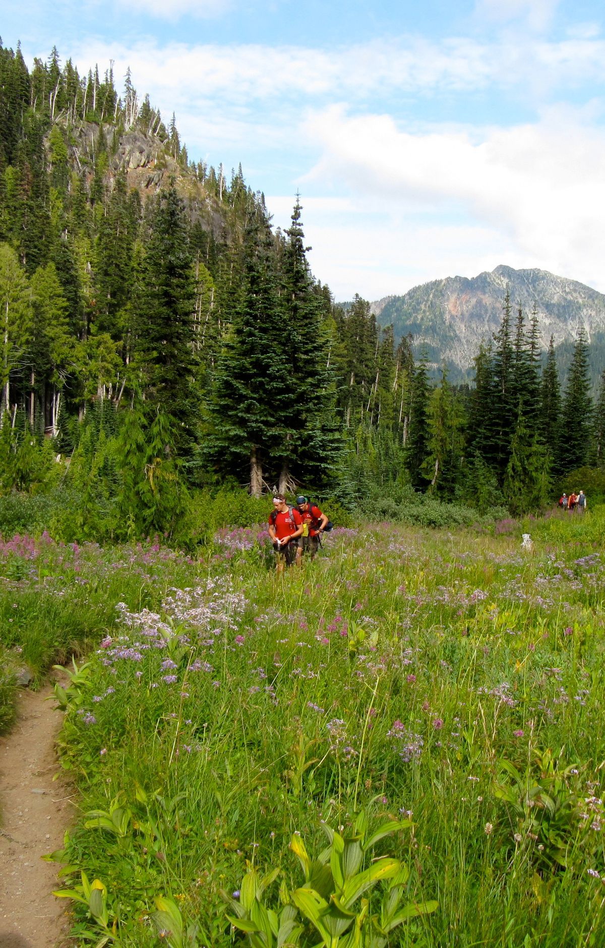 Summerland Trail, Mount Rainier National Park
