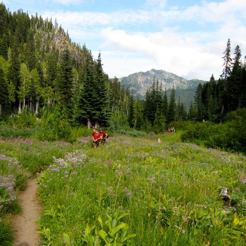 Summerland Trail