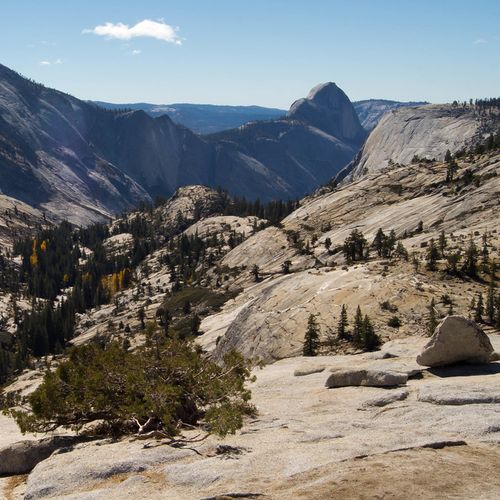 Viewpoint
