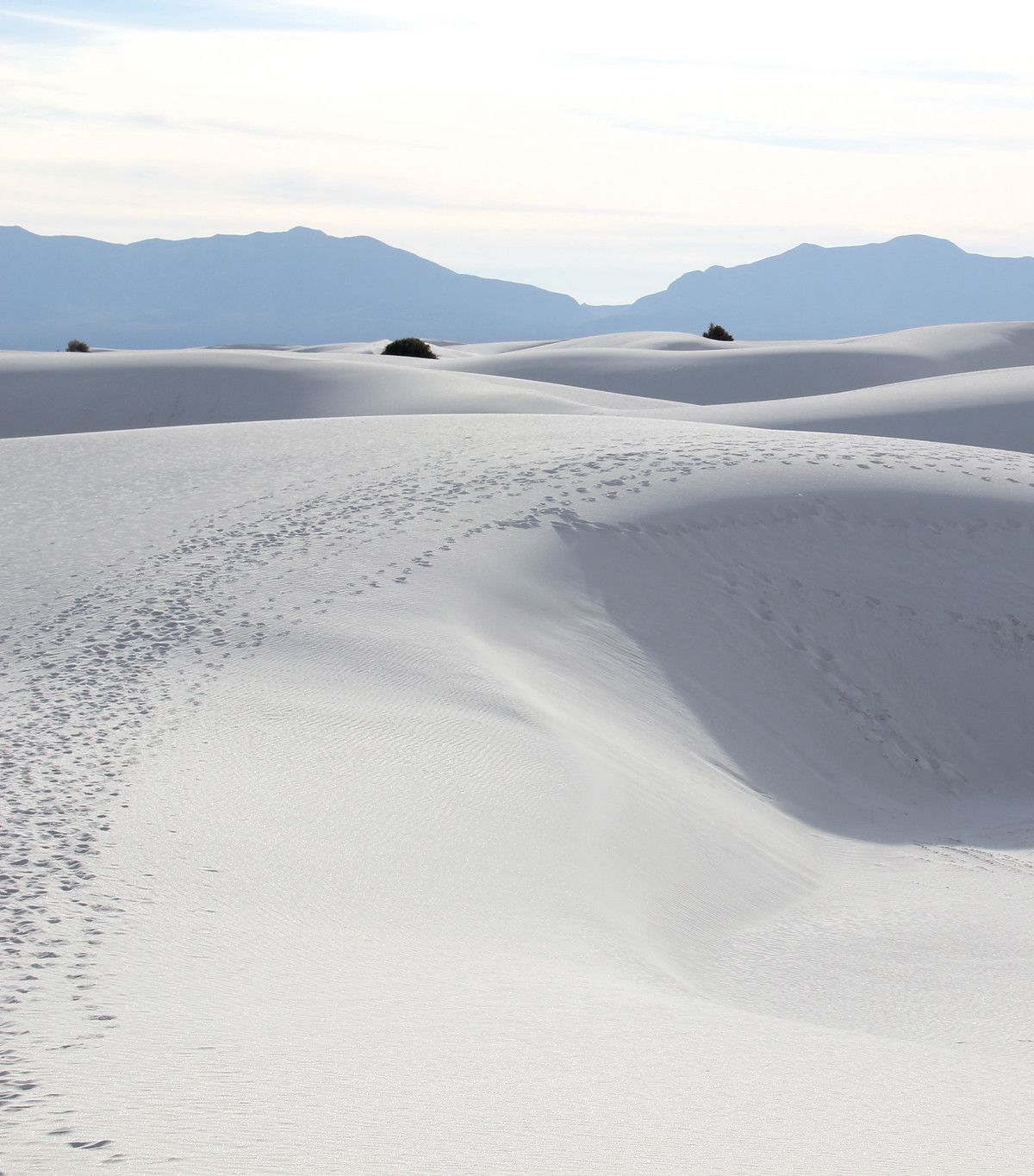 Alkali Flat Trail, White Sands National Park