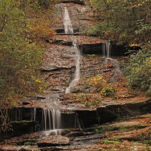Tom Branch Falls