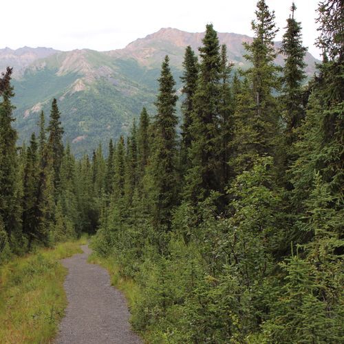 Mt. Healy Trail