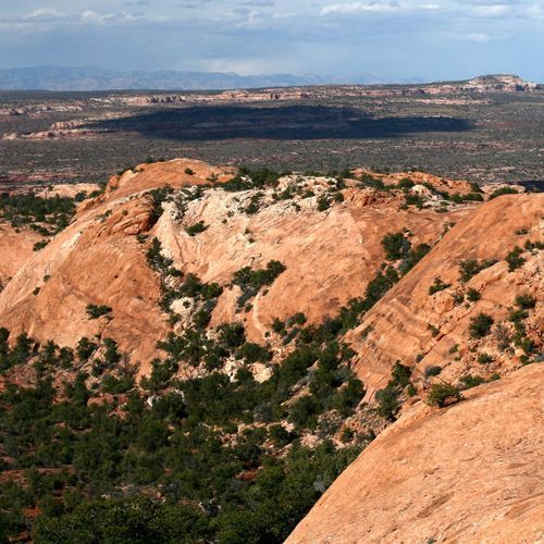 Whale Rock Trail