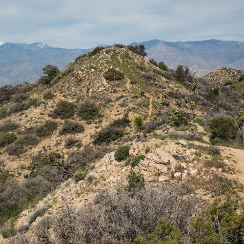 Warren Peak Trail