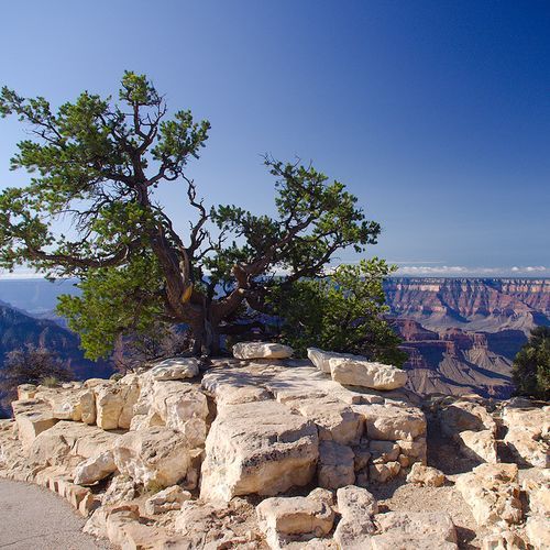 Bright Angel Point Trail