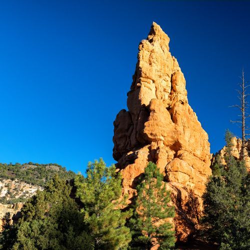 Viewpoint