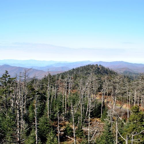 Gunter Fork Trail