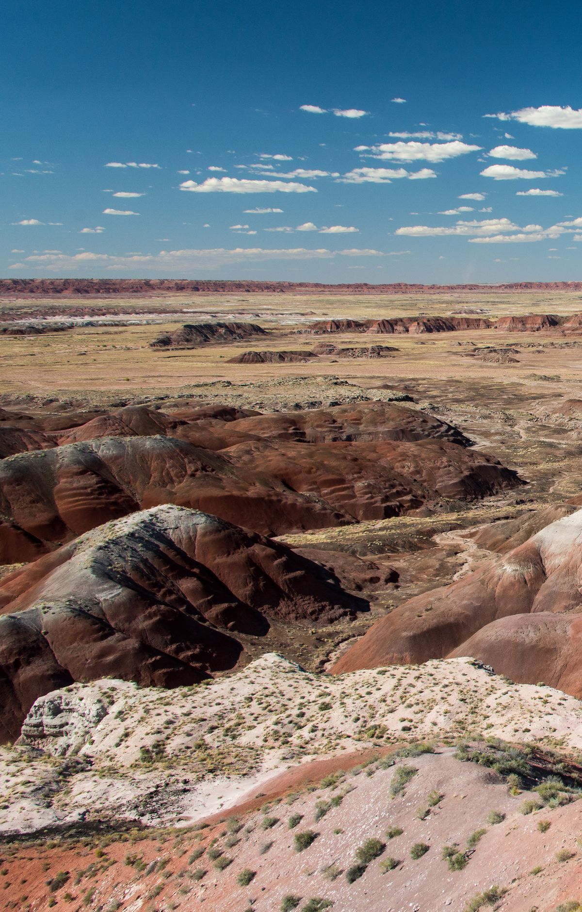 Monsoon Storms and Shortgrass Prairie Seasons, Petrified Forest National Park