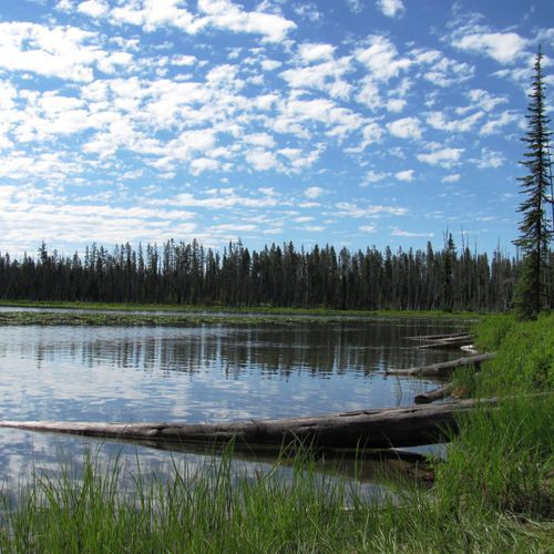 Grebe Lake Trail