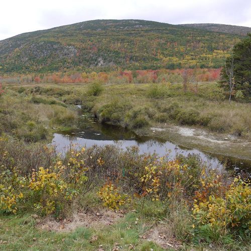 Great Meadow Loop